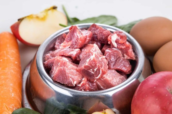 Quels sont les avantages d'un régime alimentaire BARF pour un chien de race Husky?